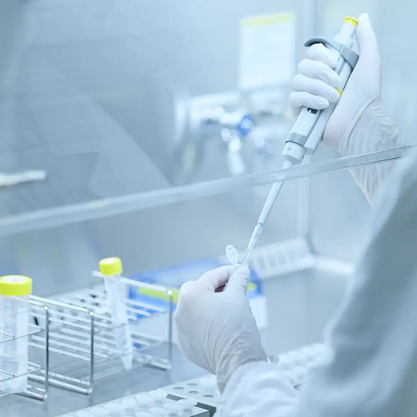 開発写真イメージ